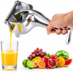 Fruit juicer manual